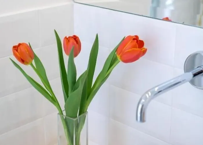 Fortuna Gasthuis Positano